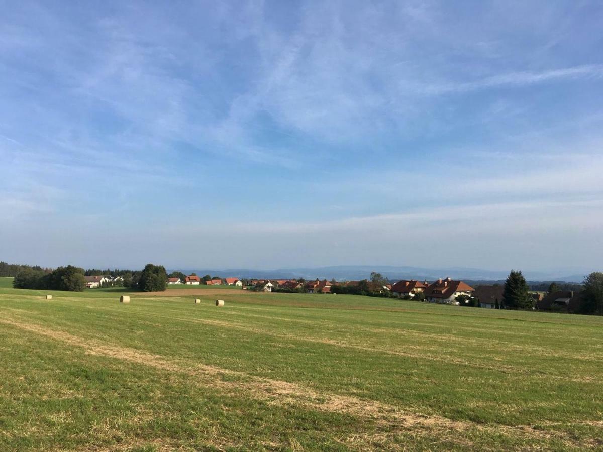 Ferienwohnung Francois Höchenschwand Buitenkant foto